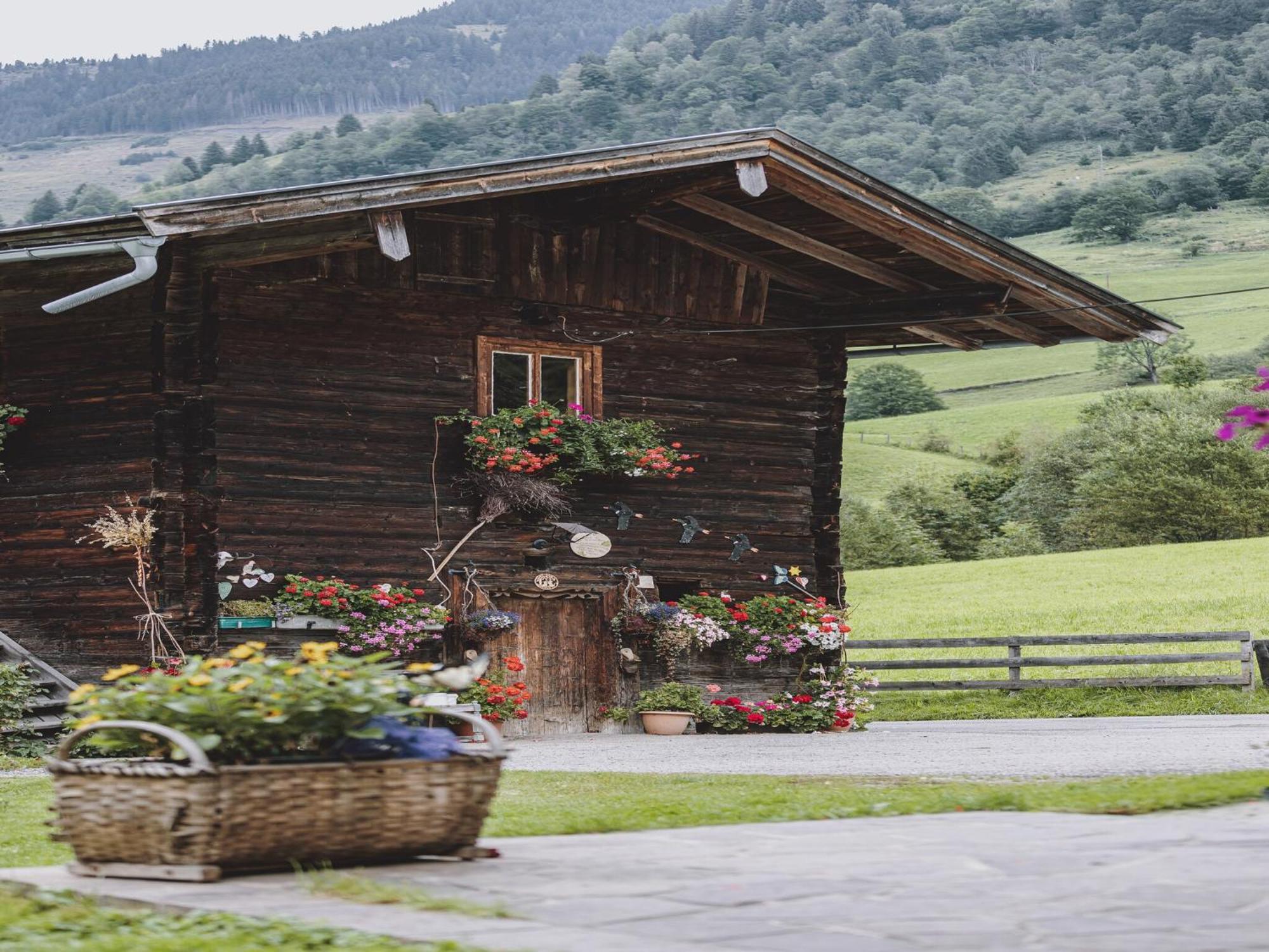 Holiday Home Fusch An Der Glocknerstra E Fusch an der Grossglocknerstrasse Dış mekan fotoğraf